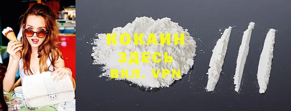 дурь Алексин