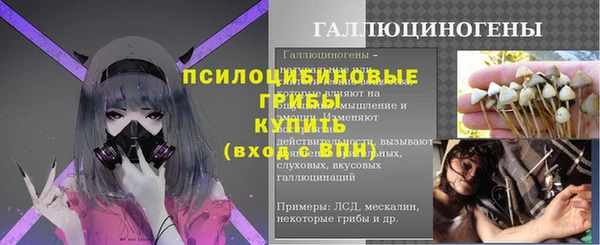 прущие крисы Верея