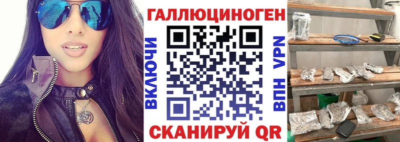 Галлюциногенные грибы Psilocybine cubensis  Петропавловск-Камчатский 