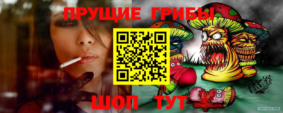 Псилоцибиновые грибы Psilocybine cubensis Петропавловск-Камчатский