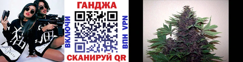 Бошки марихуана план  Петропавловск-Камчатский 